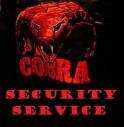 Servizi di Vigilanza Cobra Security Service